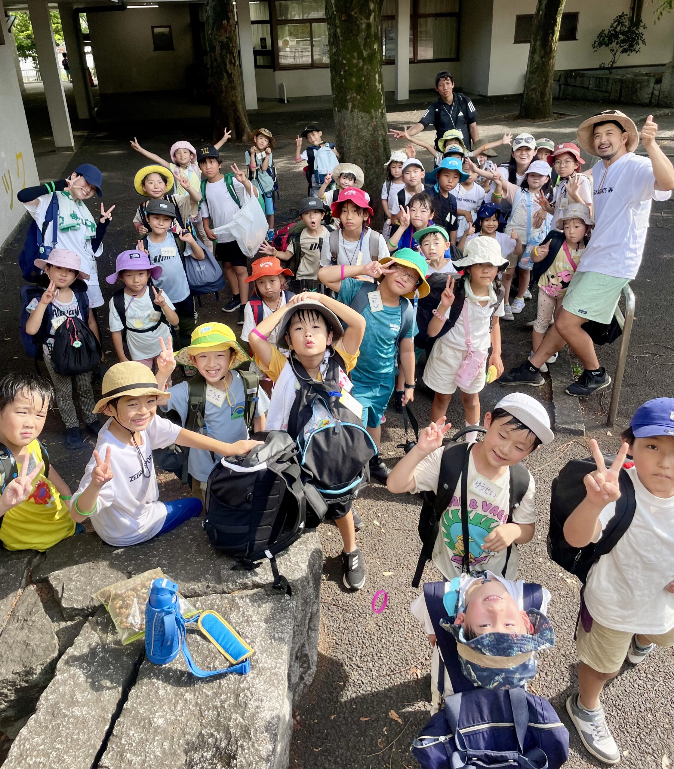 ゼブラスポーツ