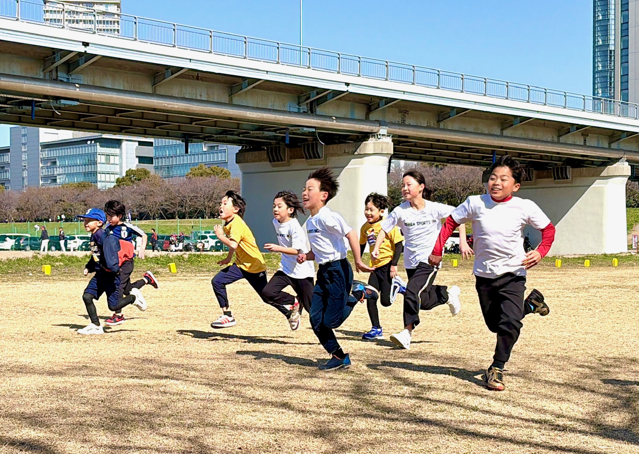 ゼブラスポーツ